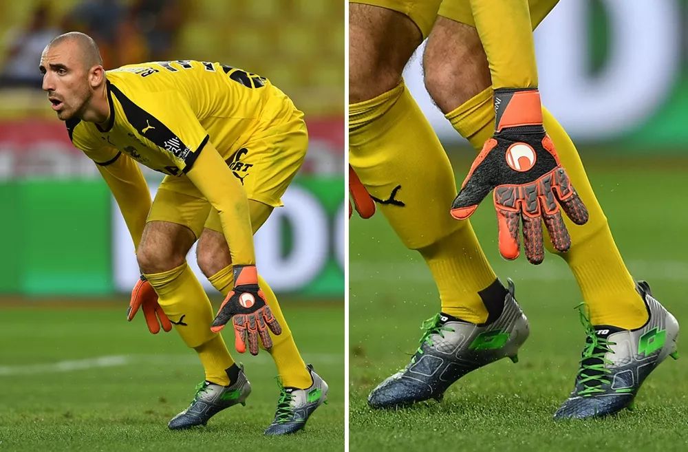 协同对齐 协同对齐